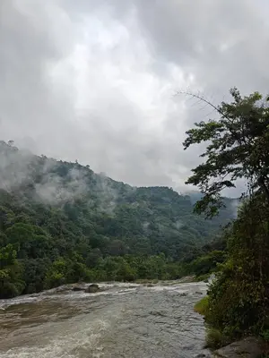 a view of a river with a mountain in the background at The Serene Cottage in Viripara