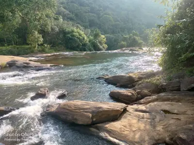 a river with rocks and trees in the background at The Serene Cottage in Viripara