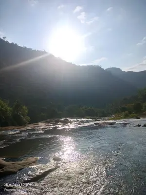 a river with the sun shining on the water at The Serene Cottage in Viripara