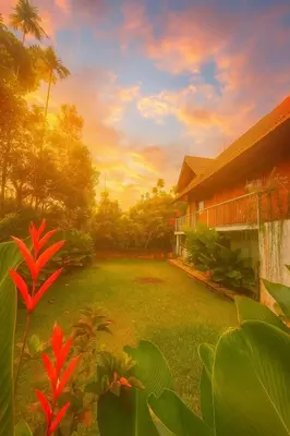 a view of a yard with a house at Senthamarai villa in Sultan Bathery