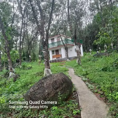 Farm stay in a coffee plantation near Athirappally