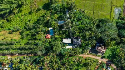 an aerial view of a forest with a house and trees at Mahogany by Exuberance Stays in Wayanad