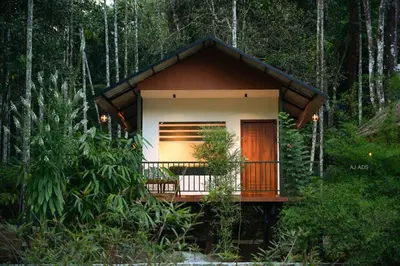 a small house in the middle of a forest at BLUE CREEK in Meppādi