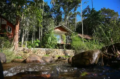 a house in the woods next to a river at BLUE CREEK in Meppādi