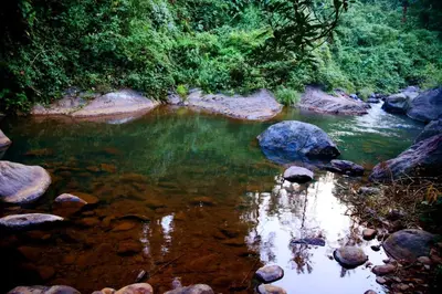 a stream of water with rocks and trees at BLUE CREEK resort in Meppādi