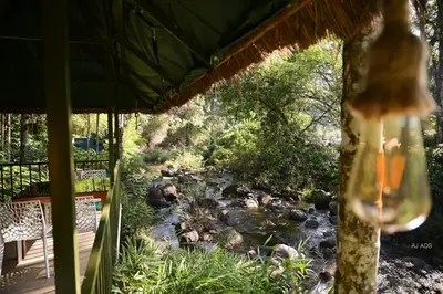 a view of a creek from the porch of a house at BLUE CREEK resort in Meppādi