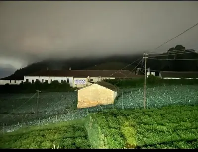 a building in a field next to a fence at Forest Gate villa in Ooty