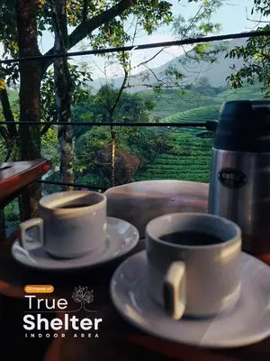 two cups of coffee on a table with a view at Forestscape Resort Munnar in Munnar