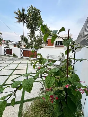 a house with a plant in front of it at NR HEAVENZ Near Rajagiri Hospital in Alwaye