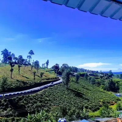 RIVERVIEW HOMESTAy