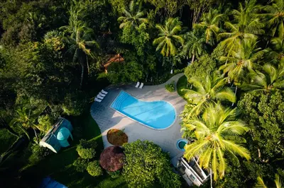 an overhead view of a swimming pool with palm trees at Kairali - The Ayurvedic Healing Village in Palakkad