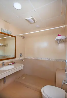 a bathroom with a toilet and a sink and a mirror at Kairali - The Ayurvedic Healing Village in Palakkad