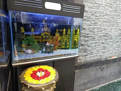 a display window of a aquarium with a flower arrangement at SAK Royal Residency 1 km from Railway Station in Mysore