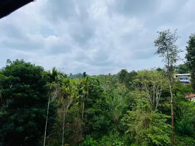 a view of a forest of trees with at O'live Inn Wayanad Apart-Hotels in Vaduvanchal