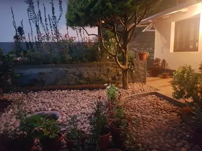 a garden with a small tree in a yard at Rheinberg Town Haus in Munnar