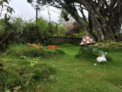 a toy mushroom in the grass next to a tree at Rheinberg Town Haus in Munnar