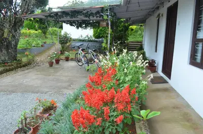 a garden with red flowers and a bike parked under a building at Rheinberg Town Haus in Munnar