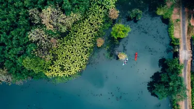 an aerial view of a river with a group of trees at Amritara Riverside Camp in Thattakād