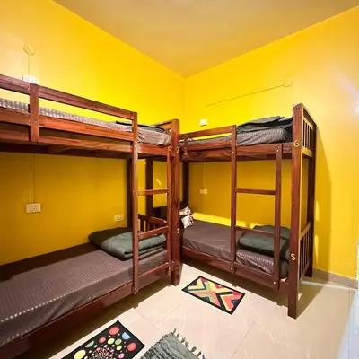 two bunk beds in a room with a yellow wall at Rastafari - The Backpackers Hostel in Ooty
