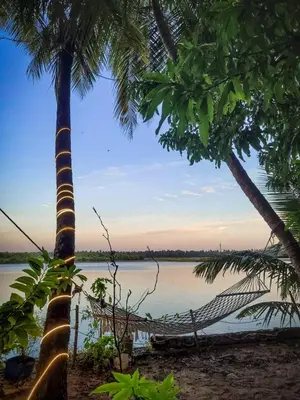 a hammock on the beach between two palm trees at Green Island Homestay Riverside in Kozhikode
