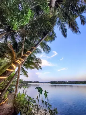 a view of a body of water with palm trees at Green Island Homestay Riverside in Kozhikode