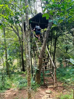 a person walking up a stairs in the woods at Drey at Druv Dakshin Farm Resort in Padinjarathara
