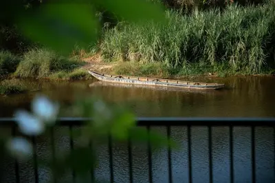 a boat sitting on the water next to a field at Swasth The Riviera Lovedale in Nilambūr