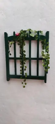 a green shelf with a plant on a wall at Aastha homestay in Mysore
