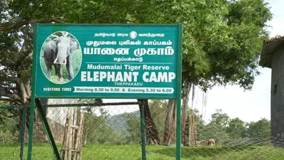 a sign for an elephant camp in a field at Wild Tusker Homestay Masinagudi by LexStays in Masinagudi