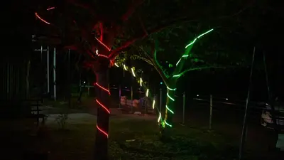 a tree with christmas lights on it at night at Wild Tusker Homestay Masinagudi by LexStays in Masinagudi
