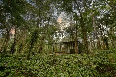a small house in the middle of a forest at Cove by Raho - Nestled Away Retreat in Siddapur