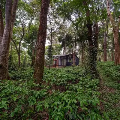 Cove by Raho - Nestled Away Retreat