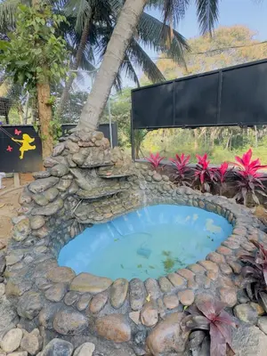 a small pool in a rock wall with a tree at Mountain valley in Attappādi