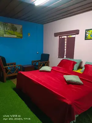 a bedroom with a bed with red sheets and blue walls at Munnar home stay in Munnar