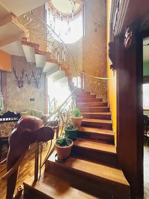 a staircase in a building with potted plants on it at Valley homes in Ooty