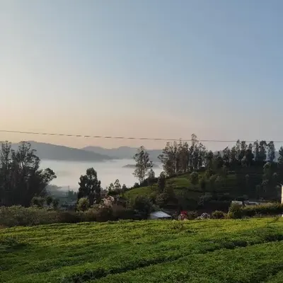 Valley homes