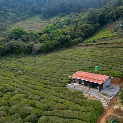 Wild and Free Farm Stay