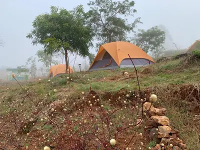 two tents on top of a grassy hill at Wilderness Jungle Camp in Malavalli