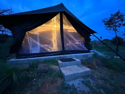 a tent with steps in a field at night at Wilderness Jungle Camp in Malavalli