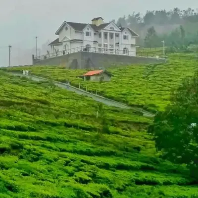 The Misty Valley
