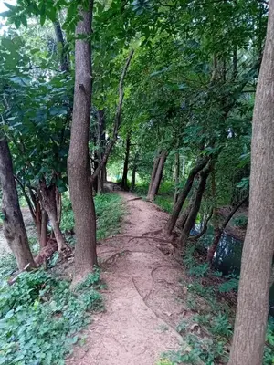 a dirt path through a forest with trees at Sradha Farm Stay - Kollengode in Kollengode