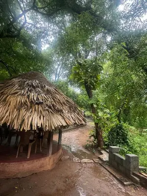 a hut with chairs and a straw roof at Sradha Farm Stay - Kollengode in Kollengode