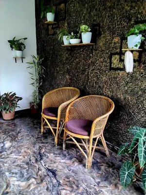 two wicker chairs sitting next to a wall with plants at Mitra retreats in Mānantoddy