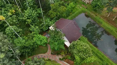 an overhead view of a house in a forest at Casta Wild Resort in Batheri