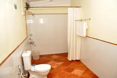 a bathroom with a toilet and a shower at Wyoming Heritage in Ooty