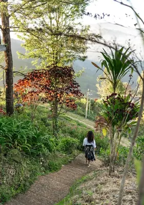 a little girl walking down a path in a garden at LohonoStays Amani Villa 9B in Coonoor