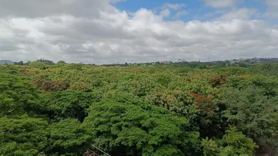 an overhead view of a forest of trees at Eve Service apartment in Mysore