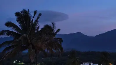 a palm tree at night with mountains in the background at Alappat Lodge Masinagudi in Masinagudi