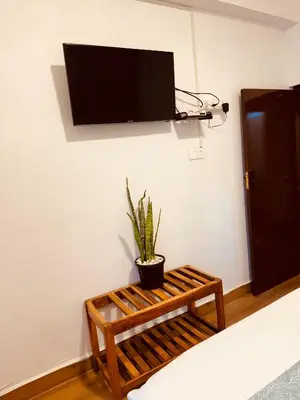 a room with a tv on the wall with a plant at Casa Serenity in Ooty