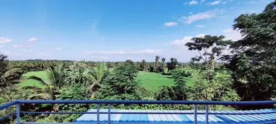a view from the balcony of a resort in the jungle at Nature stay Mysore in Mandya